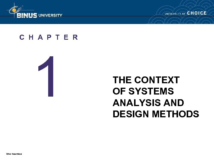 C H A P T E R 1 Bina Nusantara THE CONTEXT OF SYSTEMS