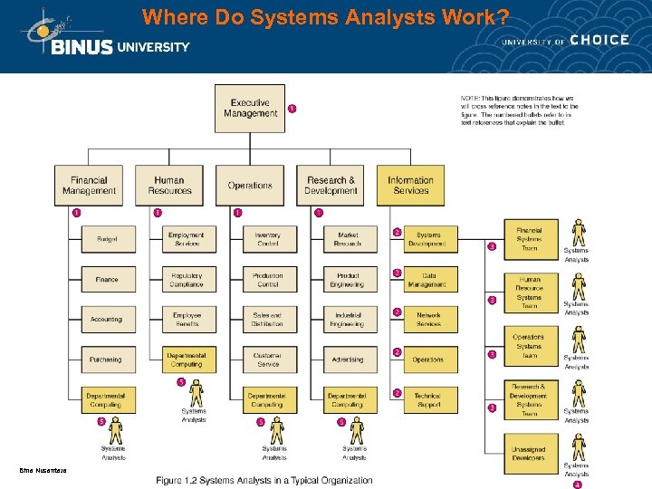 Where Do Systems Analysts Work? Bina Nusantara 