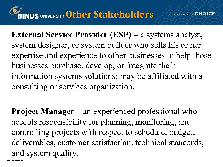 Other Stakeholders External Service Provider (ESP) – a systems analyst, system designer, or system