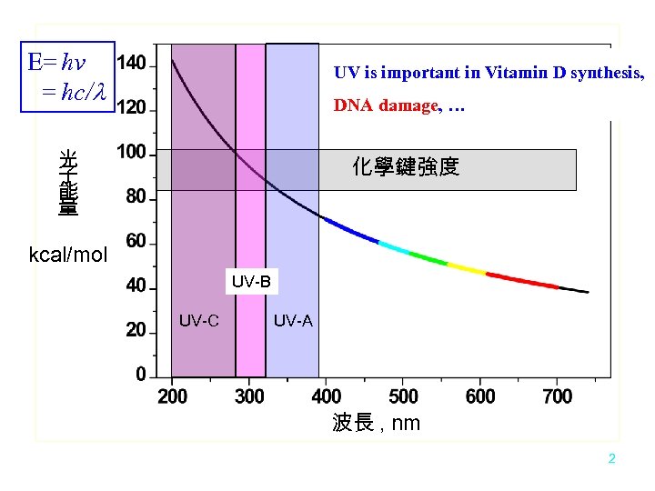 E= hv = hc/l UV is important in Vitamin D synthesis, DNA damage, …