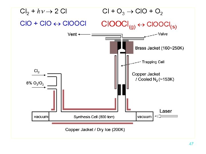 Cl 2 + hn 2 Cl Cl + O 3 Cl. O + O