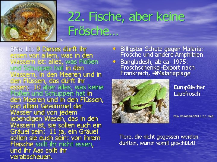 RL 22. Fische, aber keine Frösche… 3 Mo 11: 9 Dieses dürft ihr essen