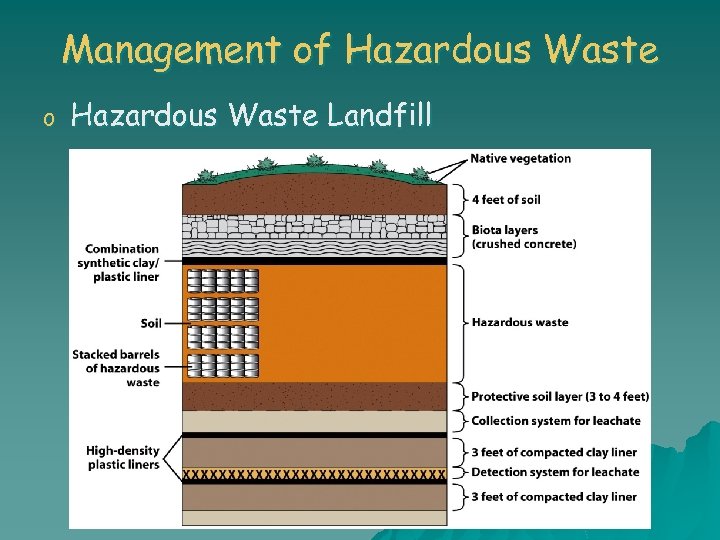 Management of Hazardous Waste o Hazardous Waste Landfill 