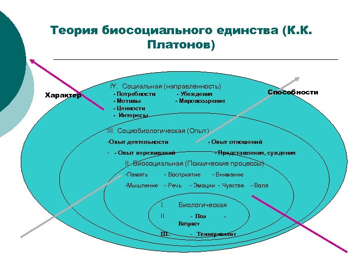 Теория биосоциального единства (К. К. Платонов) Характер IY. Социальная (направленность) - Потребности - Мотивы