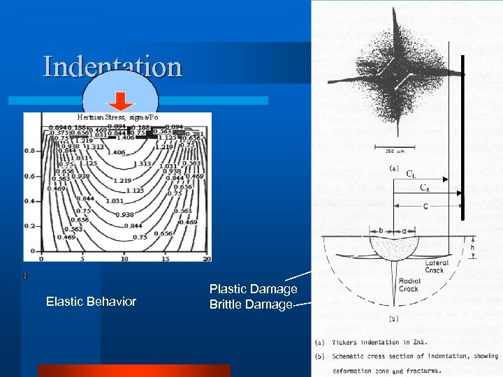 Indentation Elastic Behavior Plastic Damage Brittle Damage 