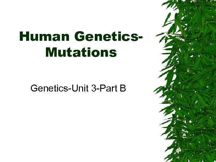 Human Genetics. Mutations Genetics-Unit 3 -Part B 