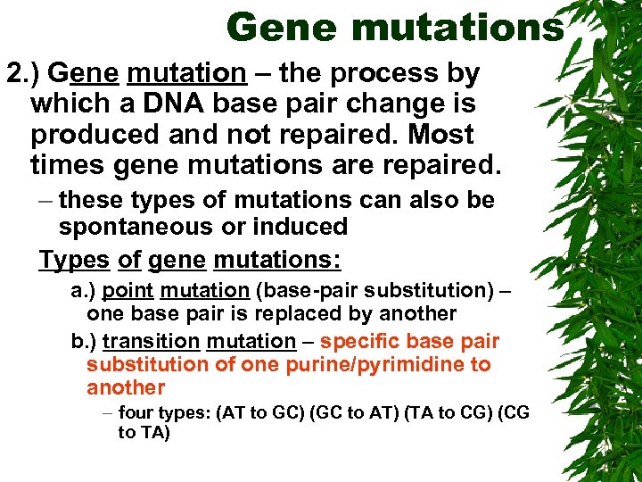 Gene mutations 2. ) Gene mutation – the process by which a DNA base