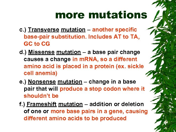 more mutations c. ) Transverse mutation – another specific base-pair substitution. Includes AT to