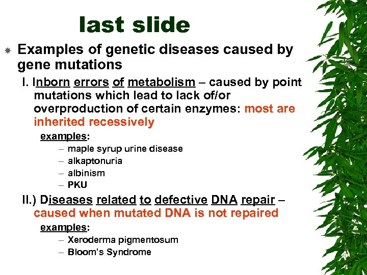 last slide Examples of genetic diseases caused by gene mutations I. Inborn errors of