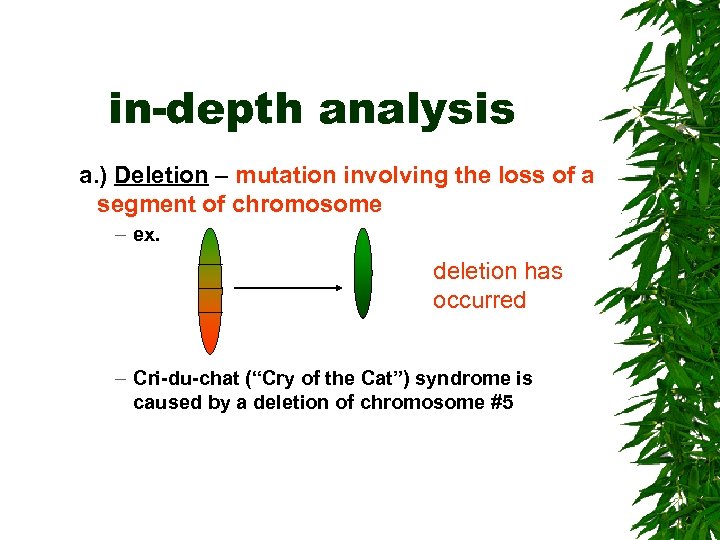 in-depth analysis a. ) Deletion – mutation involving the loss of a segment of