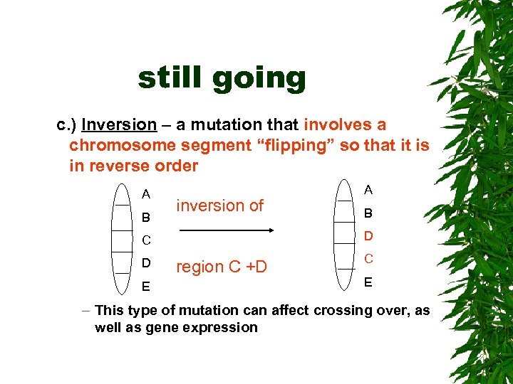 still going c. ) Inversion – a mutation that involves a chromosome segment “flipping”