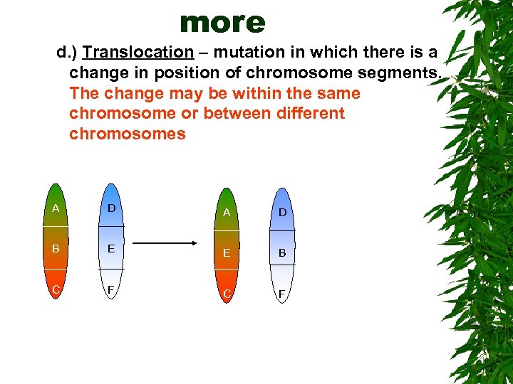 more d. ) Translocation – mutation in which there is a change in position