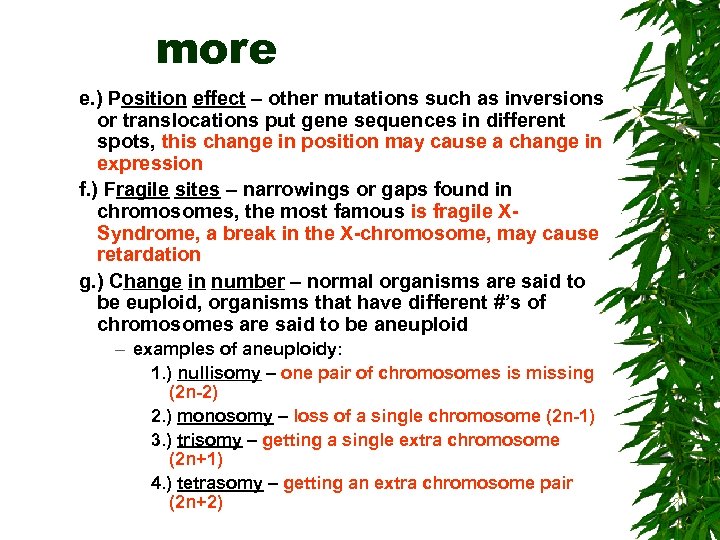 more e. ) Position effect – other mutations such as inversions or translocations put