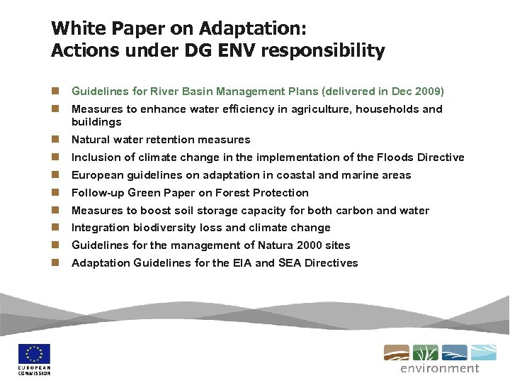 White Paper on Adaptation: Actions under DG ENV responsibility n Guidelines for River Basin