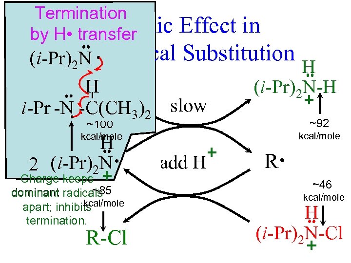 Termination An Ionic by H • transfer Effect in Free-Radical Substitution • (i-Pr)2 NH