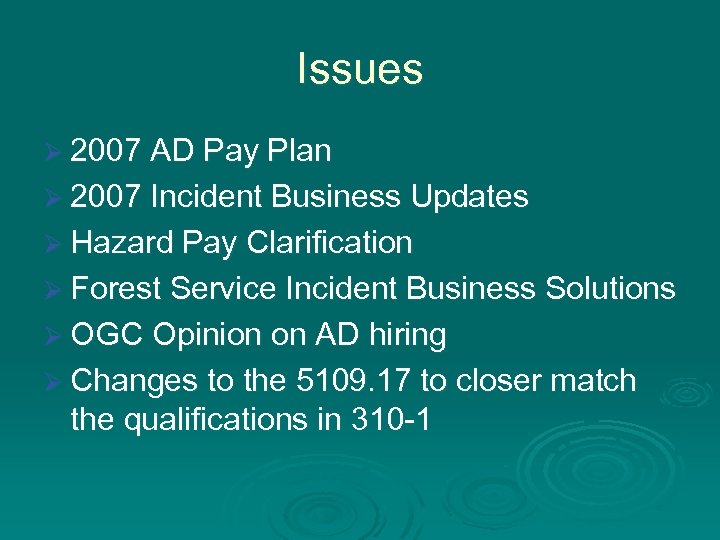 Issues Ø 2007 AD Pay Plan Ø 2007 Incident Business Updates Ø Hazard Pay