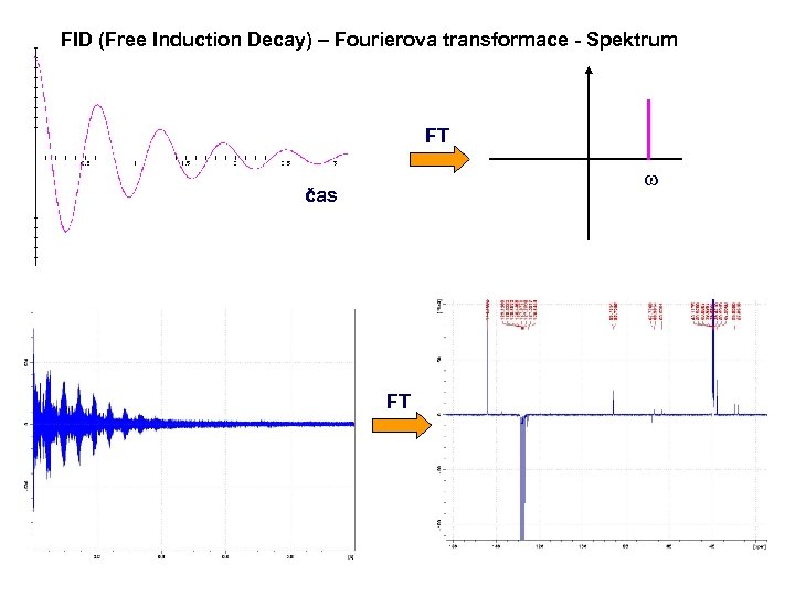 FID (Free Induction Decay) – Fourierova transformace - Spektrum FT w čas FT 