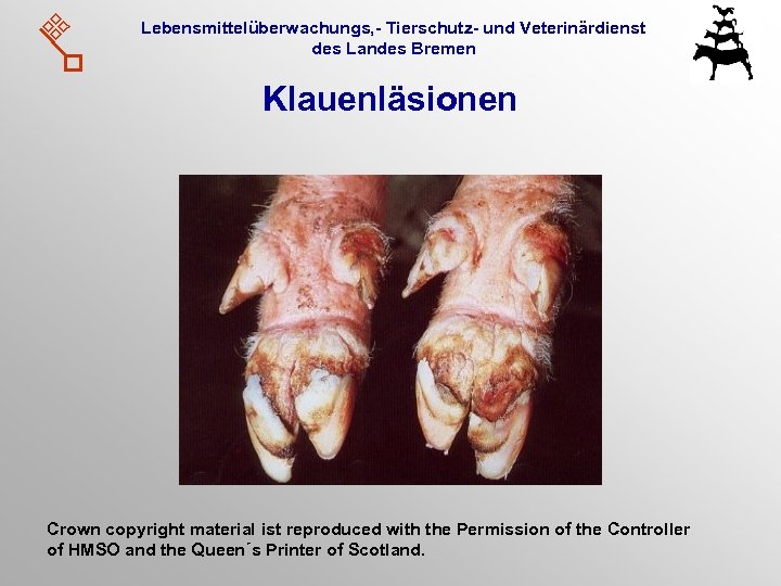 Lebensmittelüberwachungs, - Tierschutz- und Veterinärdienst des Landes Bremen Klauenläsionen Crown copyright material ist reproduced