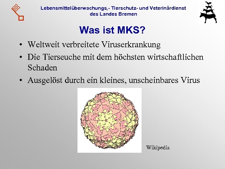 Lebensmittelüberwachungs, - Tierschutz- und Veterinärdienst des Landes Bremen Was ist MKS? • Weltweit verbreitete