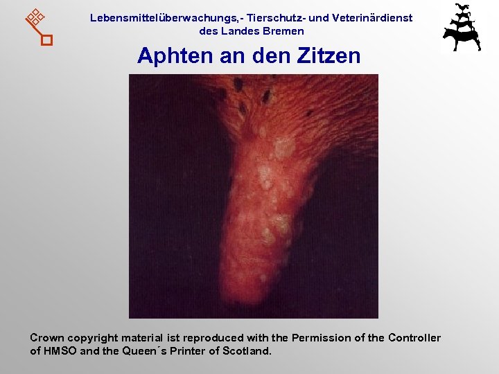 Lebensmittelüberwachungs, - Tierschutz- und Veterinärdienst des Landes Bremen Aphten an den Zitzen Crown copyright