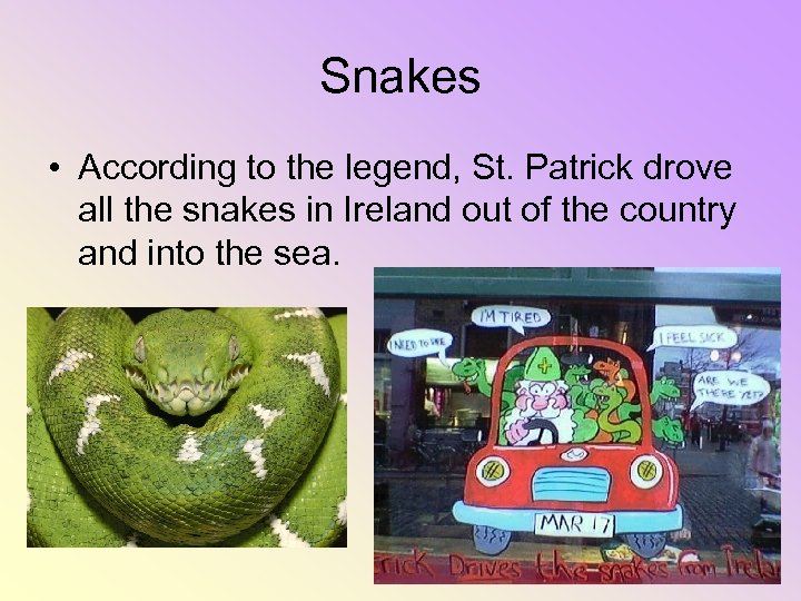 Snakes • According to the legend, St. Patrick drove all the snakes in Ireland