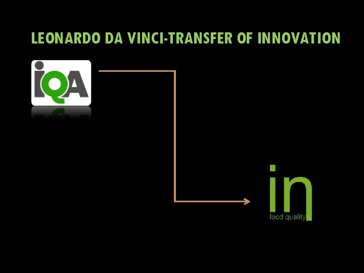 LEONARDO DA VINCI-TRANSFER OF INNOVATION 