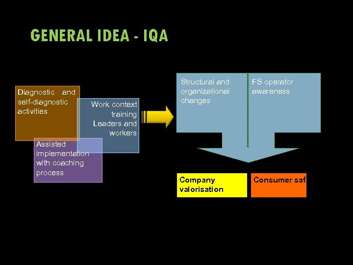 GENERAL IDEA - IQA Diagnostic and self-diagnostic activities Assisted implementation with coaching process Work