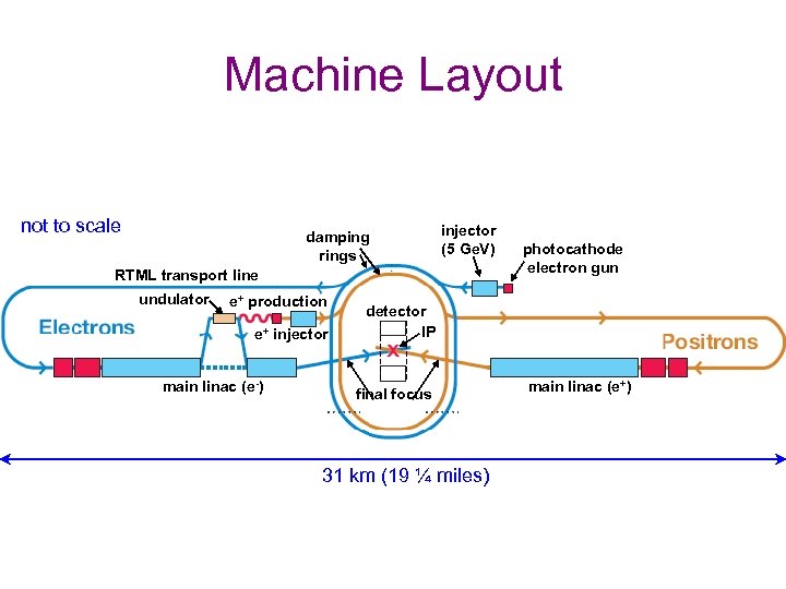 Machine Layout not to scale damping rings injector (5 Ge. V) RTML transport line