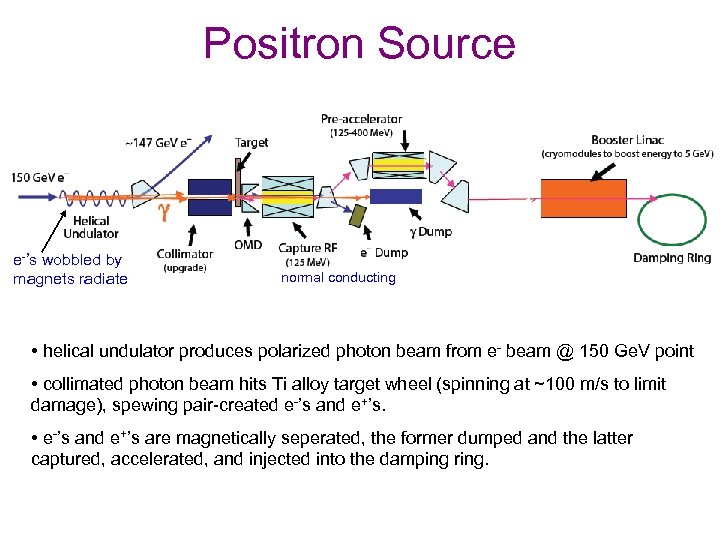 Positron Source e-’s wobbled by magnets radiate normal conducting • helical undulator produces polarized