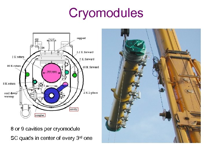 Cryomodules 8 or 9 cavities per cryomodule SC quads in center of every 3