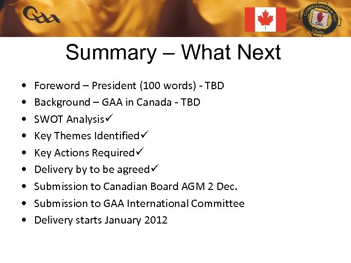 Summary – What Next • • • Foreword – President (100 words) - TBD