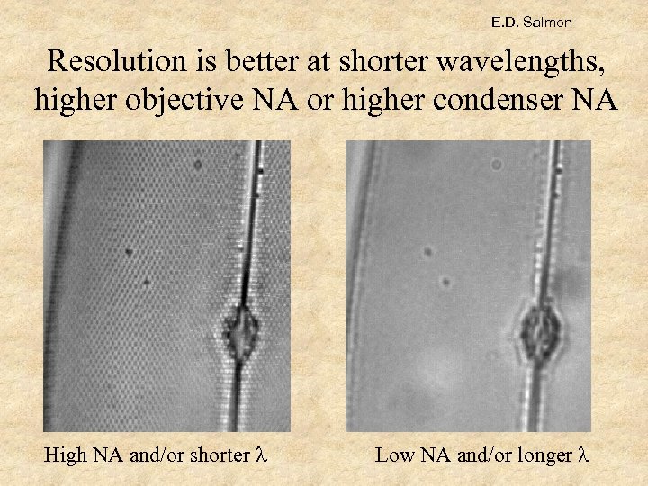 E. D. Salmon Resolution is better at shorter wavelengths, higher objective NA or higher