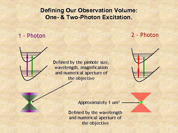 Defining Our Observation Volume: One- & Two-Photon Excitation. 2 - Photon 1 - Photon