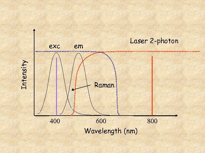 Intensity exc Laser 2 -photon em Raman 400 600 Wavelength (nm) 800 
