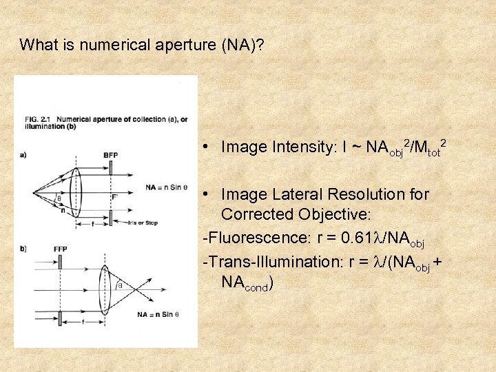 What is numerical aperture (NA)? • Image Intensity: I ~ NAobj 2/Mtot 2 •