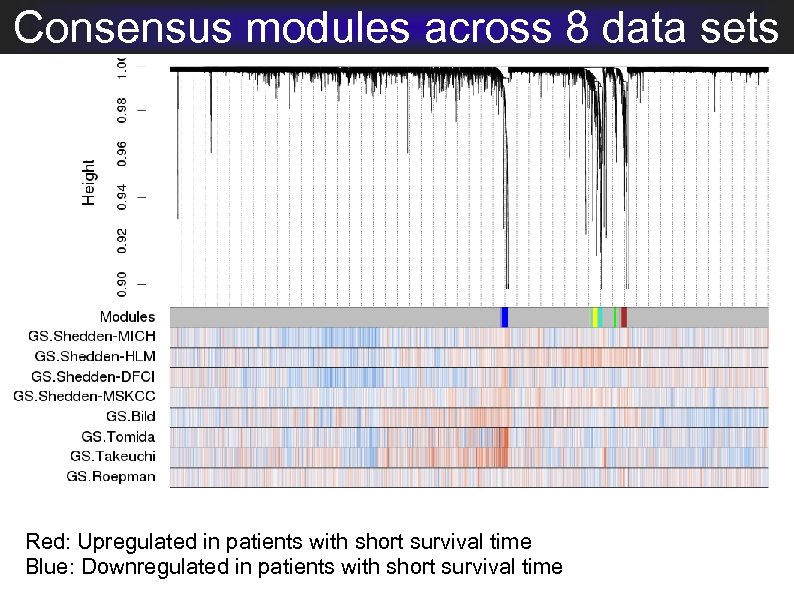 Consensus modules across 8 data sets Red: Upregulated in patients with short survival time