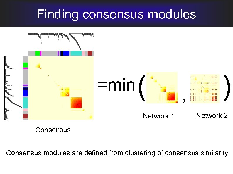 Finding consensus modules =min ( Network 1 , ) Network 2 Consensus modules are