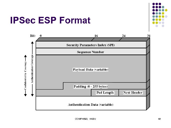 IPSec ESP Format COMP 4690, HKBU 48 