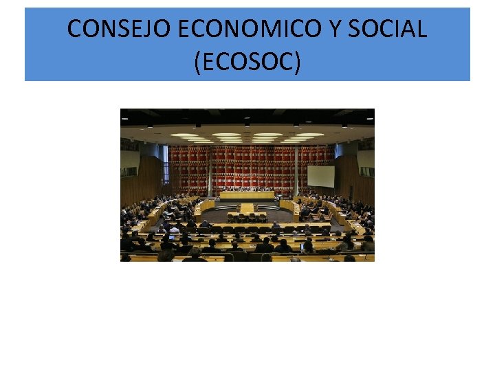 CONSEJO ECONOMICO Y SOCIAL (ECOSOC) 