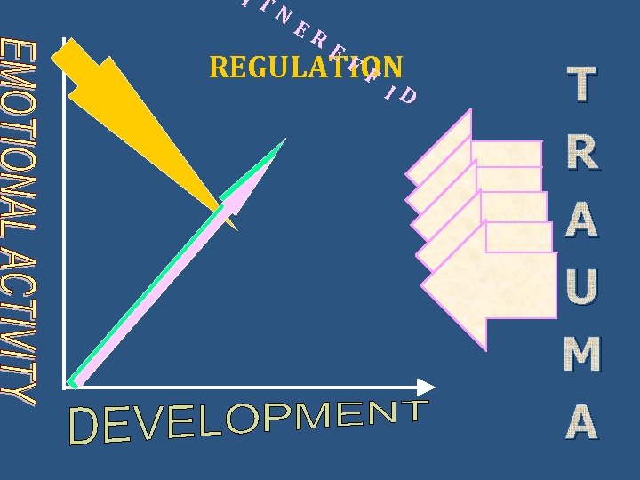 I T N ER E F REGULATION F I D T R A U