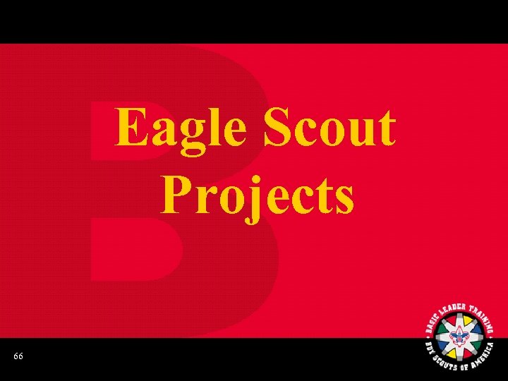 Eagle Scout Projects 66 