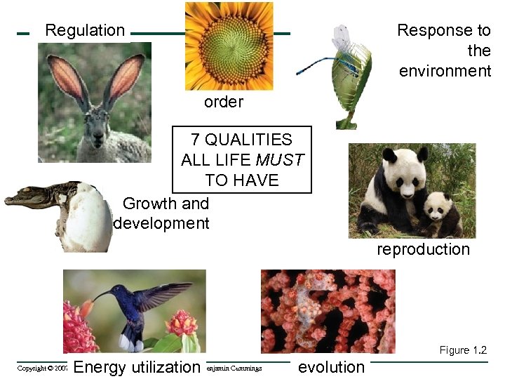 Response to the environment Regulation order 7 QUALITIES ALL LIFE MUST TO HAVE Growth