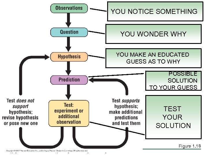 YOU NOTICE SOMETHING YOU WONDER WHY YOU MAKE AN EDUCATED GUESS AS TO WHY