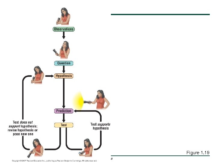 Figure 1. 19 Copyright © 2007 Pearson Education Inc. , publishing as Pearson Benjamin