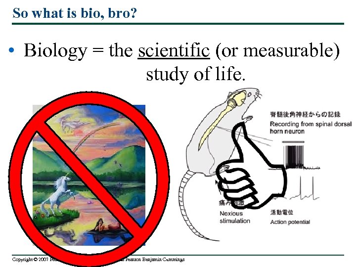 So what is bio, bro? • Biology = the scientific (or measurable) study of