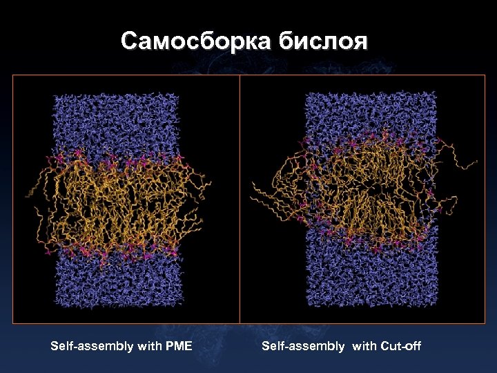 Самосборка бислоя Self-assembly with PME Self-assembly with Cut-off 