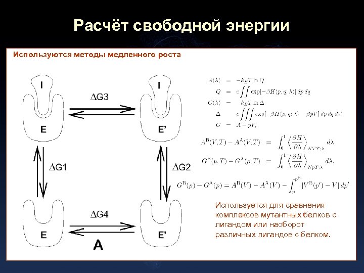 Расчёт свободной энергии Используются методы медленного роста Используется для сравнения комплексов мутантных белков с