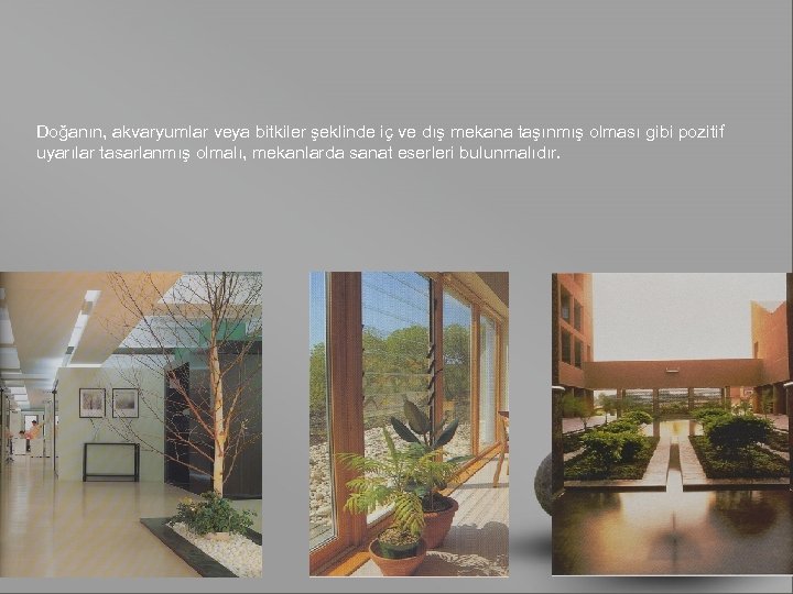 Doğanın, akvaryumlar veya bitkiler şeklinde iç ve dış mekana taşınmış olması gibi pozitif uyarılar