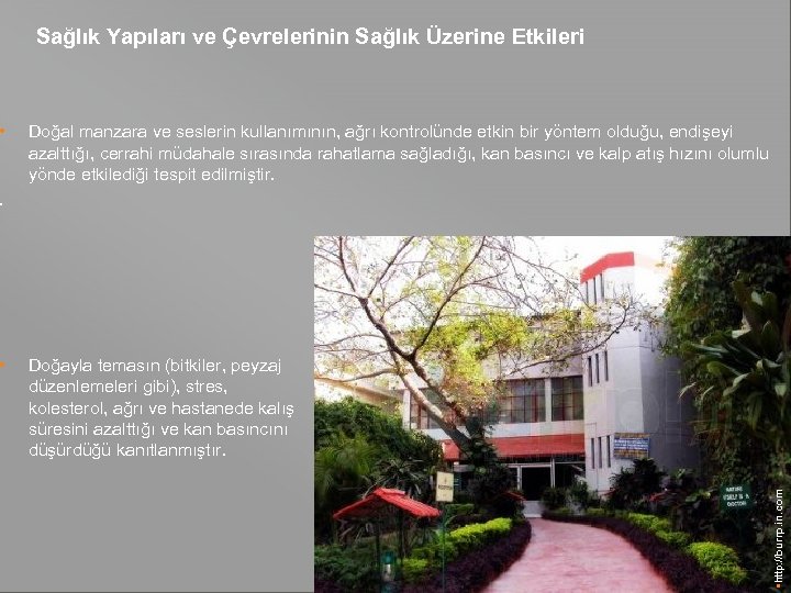  • Sağlık Yapıları ve Çevrelerinin Sağlık Üzerine Etkileri Doğal manzara ve seslerin kullanımının,