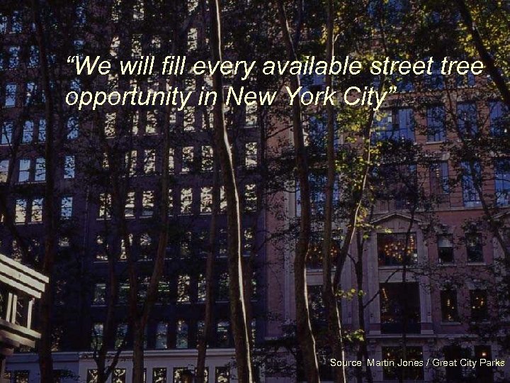“We will fill every available street tree opportunity in New York City” Source Martin